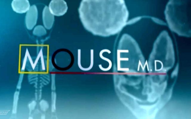 MOUSE MD
