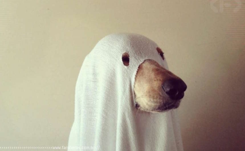 Editar é preciso - Cão fantasma - Blog Farofeiros
