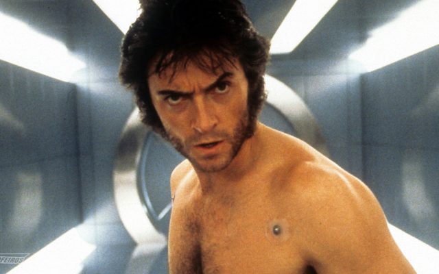 Wolverine - Logan