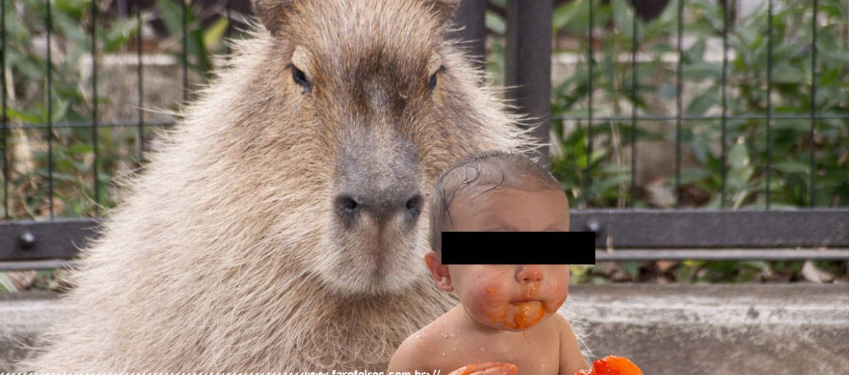 Capivara influencer com bebê humano - Blog Farofeiros - 3